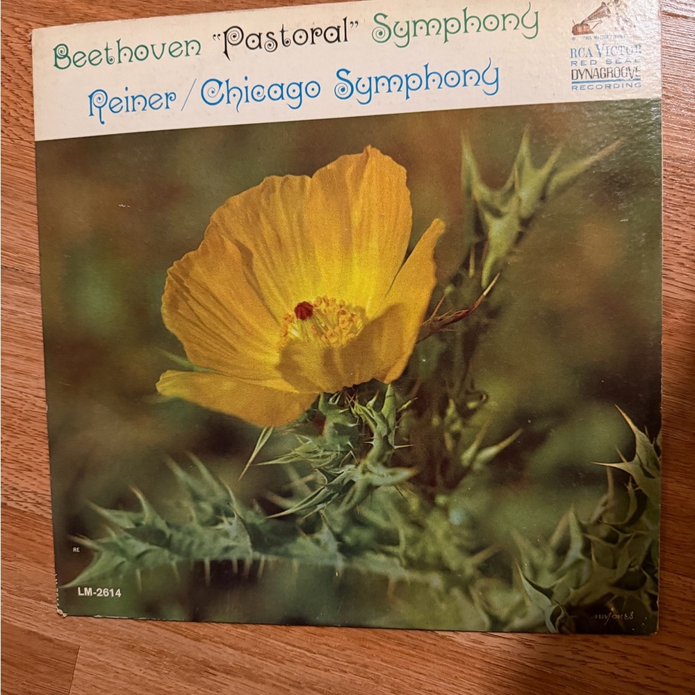 Beethoven 'Pastoral' Symphony Vinyl with Yellow Flower Cover